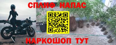 Альфа ПВП Брянск