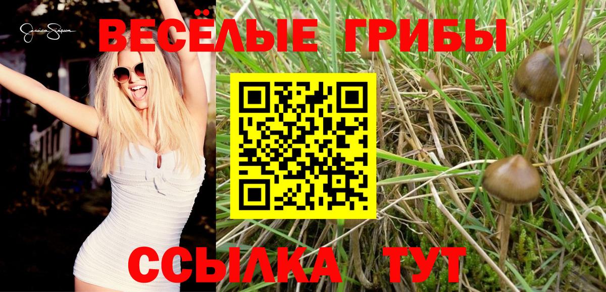 Галлюциногенные грибы GOLDEN TEACHER  Вход с VPN  Владимир 